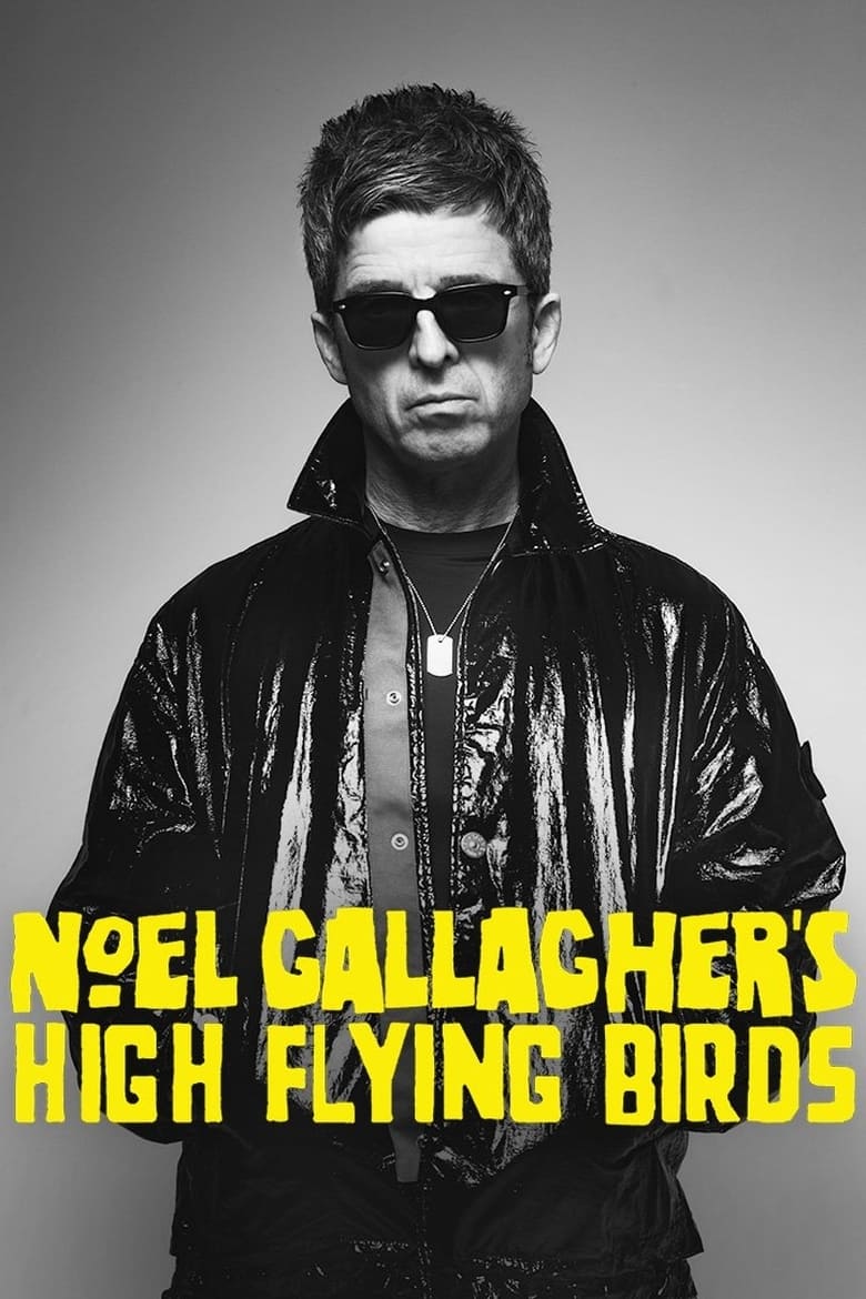 Noel Gallagher’s High Flying Birds en concert au Zénith de Paris